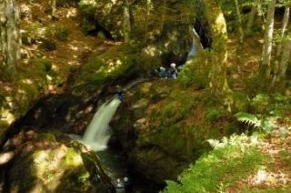 Descenso de los rápidos